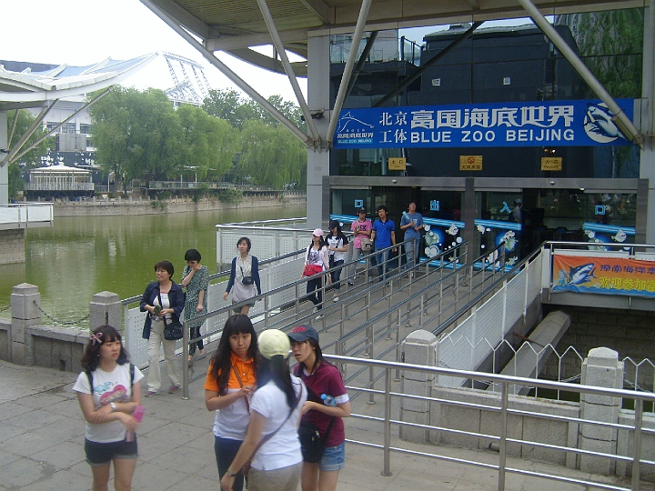98.JPG